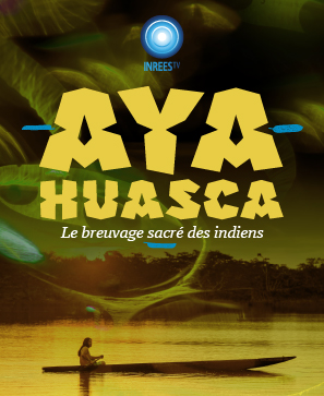 Ayahuasca : le breuvage sacré des Indiens