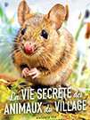 illustration de film La vie secrète des animaux du village