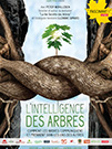 illustration de film L’intelligence des arbres