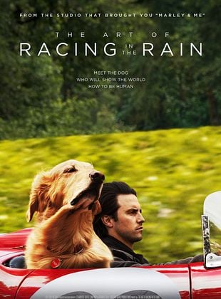 Dans les yeux d'Enzo