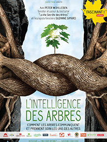 L’intelligence des arbres