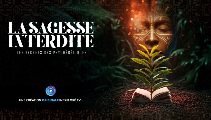 image du live