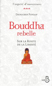 illustration de livre Bouddha rebelle