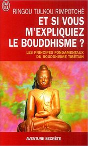 illustration de livre Et si vous m'expliquiez le bouddhisme ?
