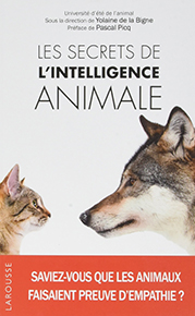illustration de livre Les secrets de l'intelligence animale