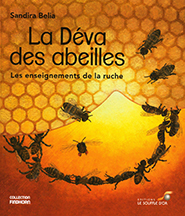 illustration de livre La déva des abeilles