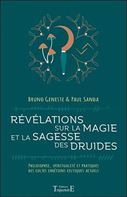 illustration de livre Révélations sur la magie et la sagesse des druides