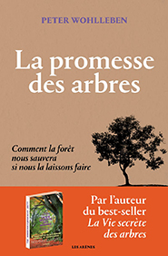 illustration de livre La promesse des arbres
