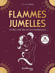 illustration de livre Flammes jumelles