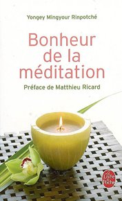 illustration de livre Bonheur de la méditation