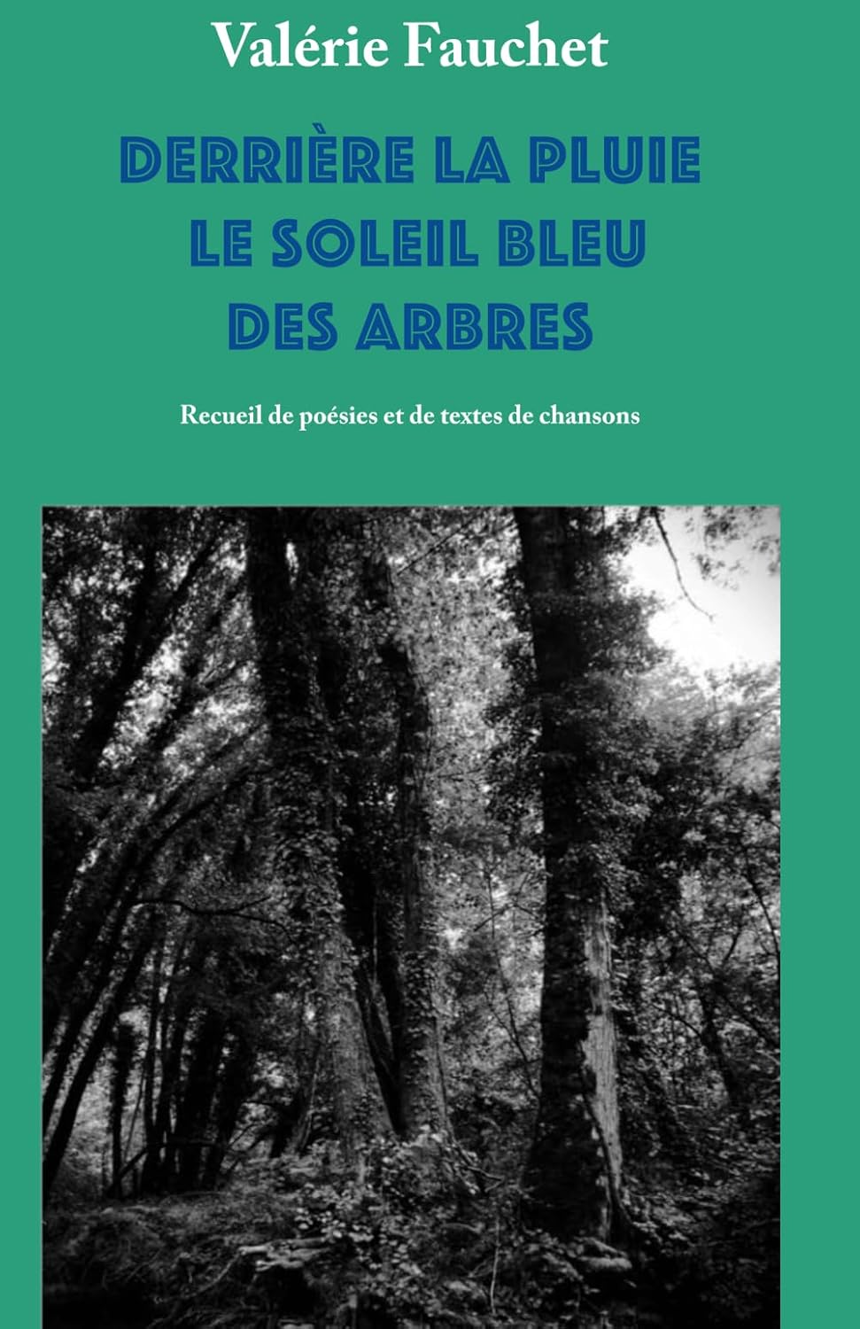 illustration de livre Derrière la pluie le soleil bleu des arbres