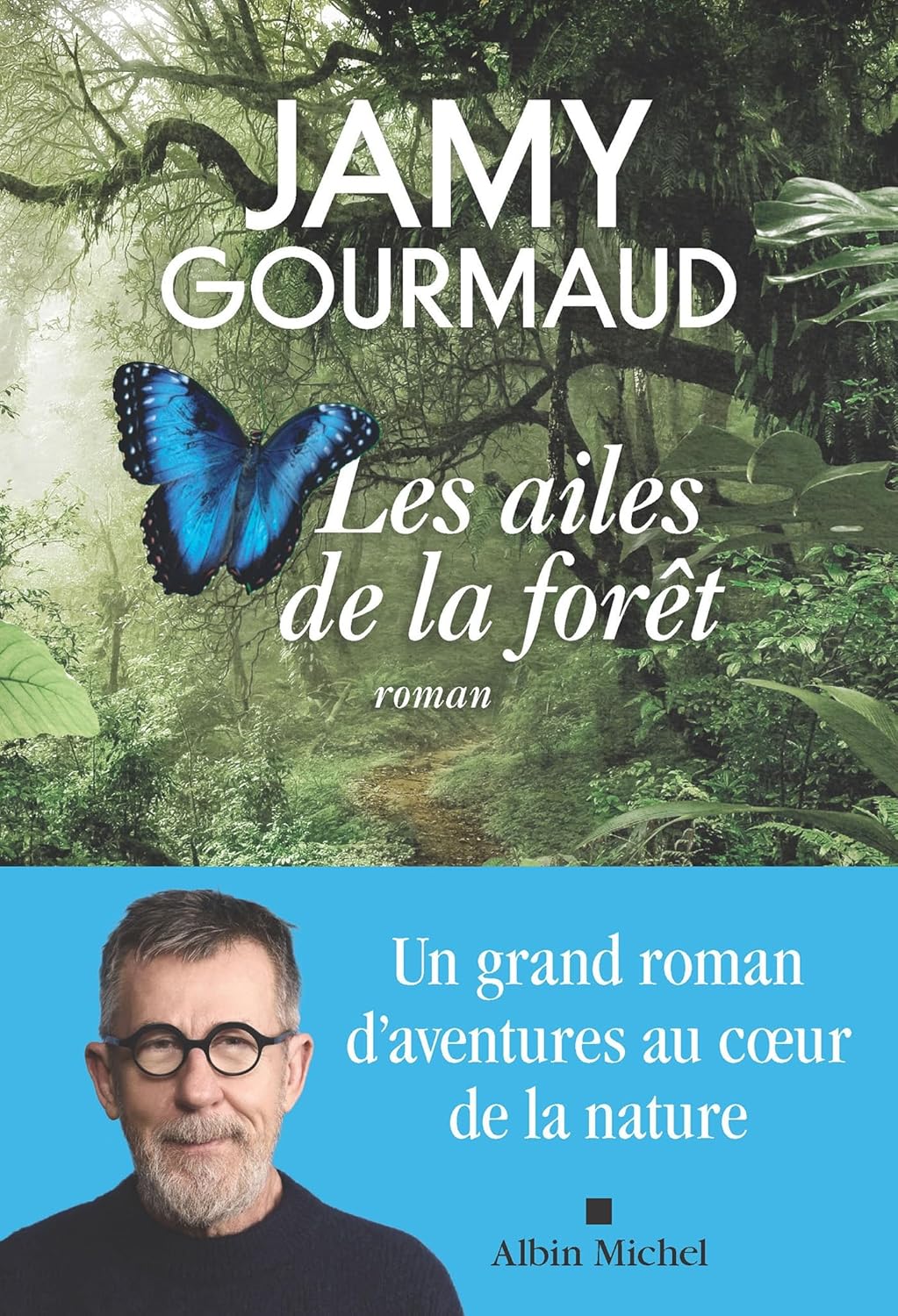 illustration de livre Les ailes de la forêt