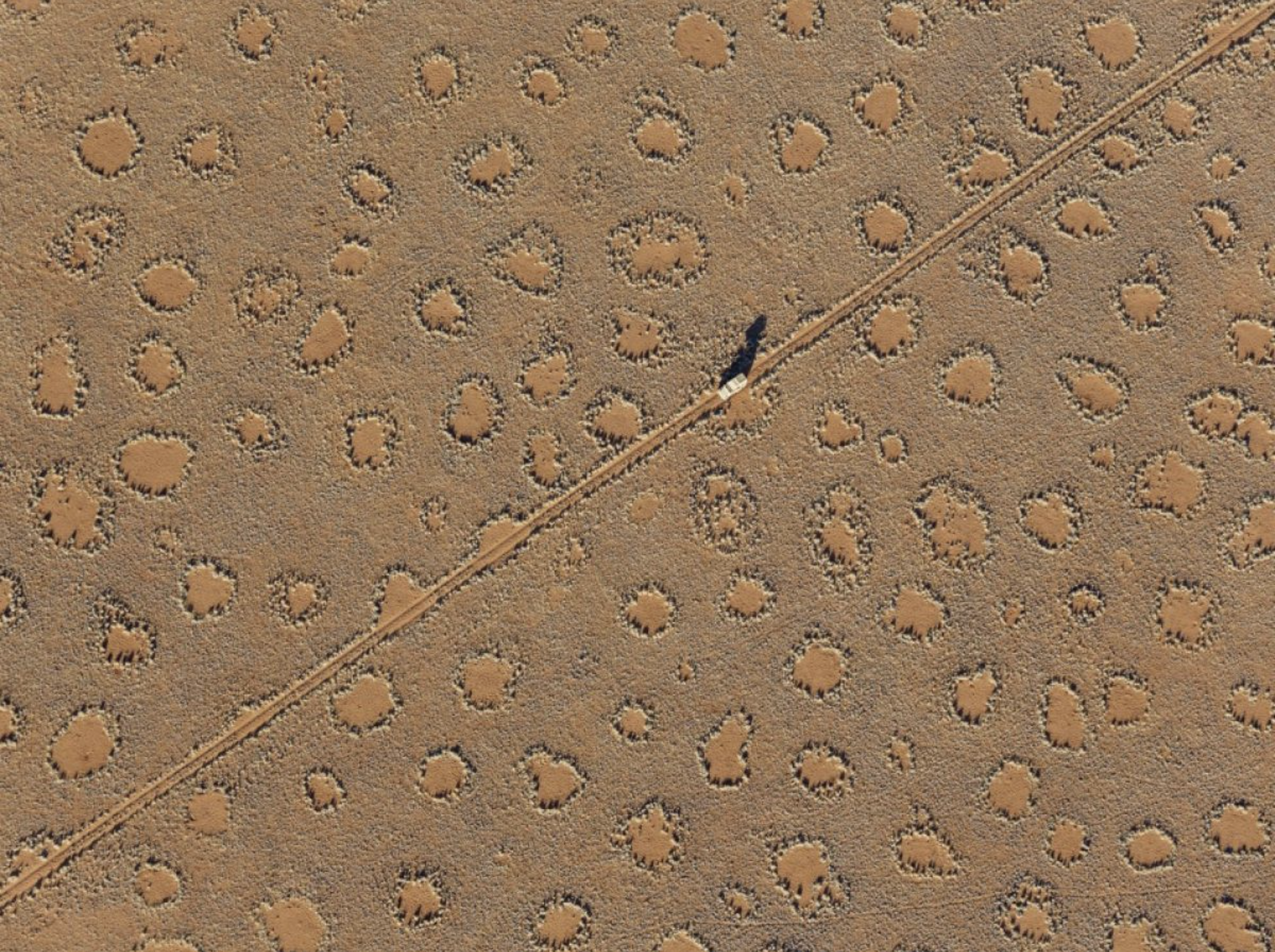 cercles de fées Namibie