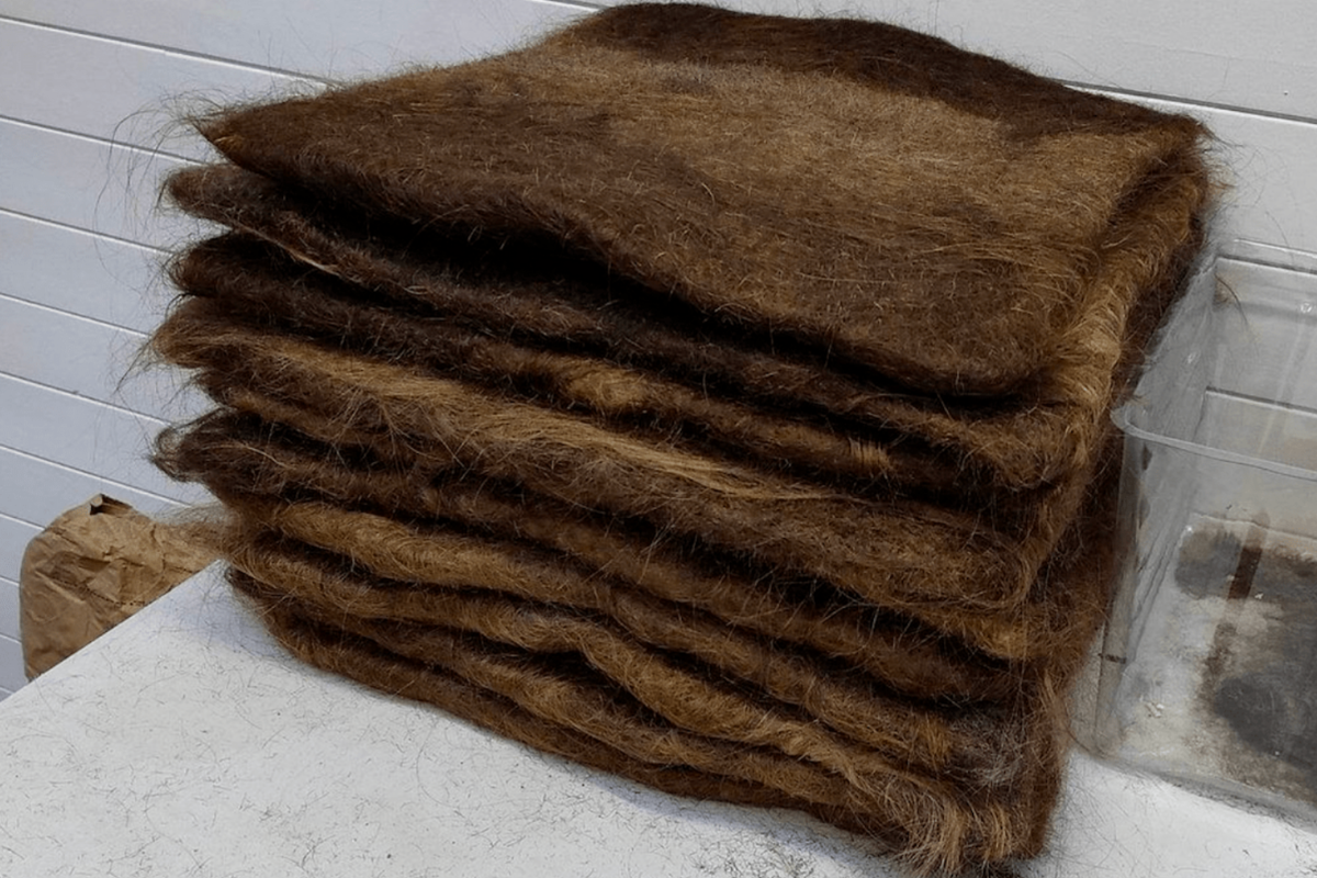 Projet Hair Recycle