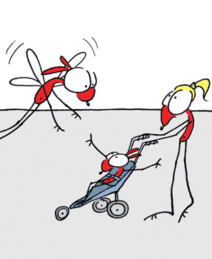 illustration de l'article