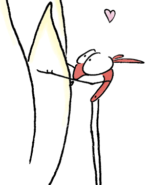 illustration de l'article