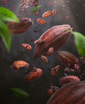 Cacao, un voyage à la rencontre du cœur