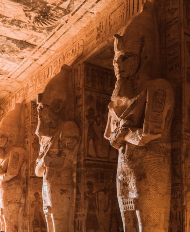 Image de la newsletter