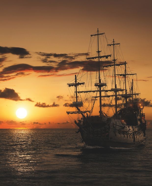 Image de la newsletter