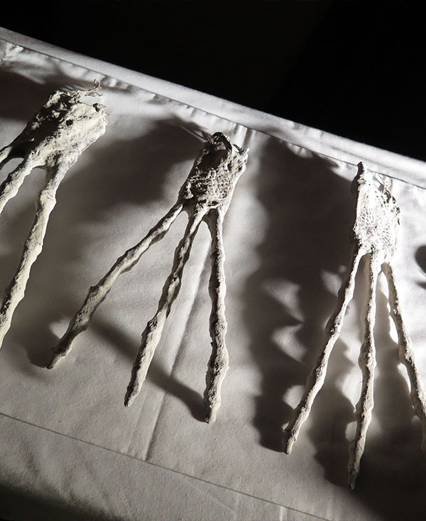 Nazca : l’étrange histoire de momies non humaines 