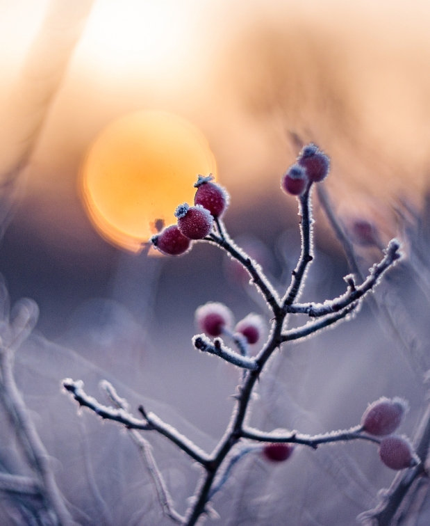 Image de la newsletter