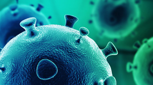 illustration de l'article