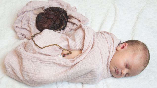 illustration de l'article