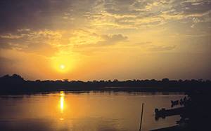 amazonie