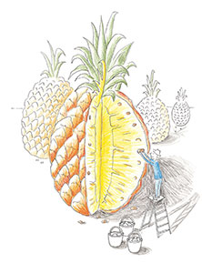 nom de l'image