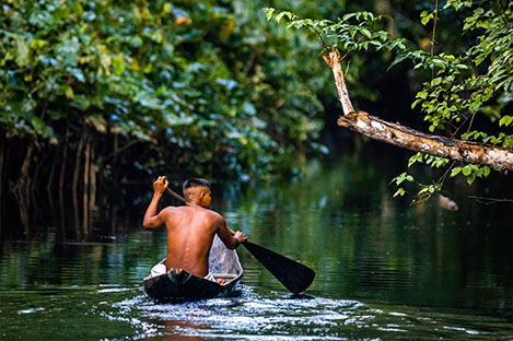 illustration de l'article L’expérience amazonienne : une aventurière en pays Shanenawa
