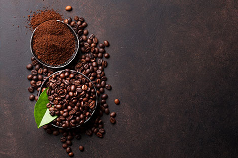 illustration de l'article Le café, renouer avec une plante maîtresse