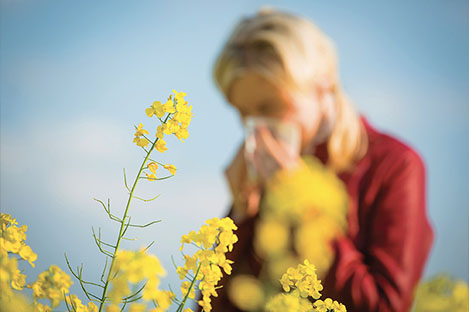 illustration de l'article Lutter contre les allergies