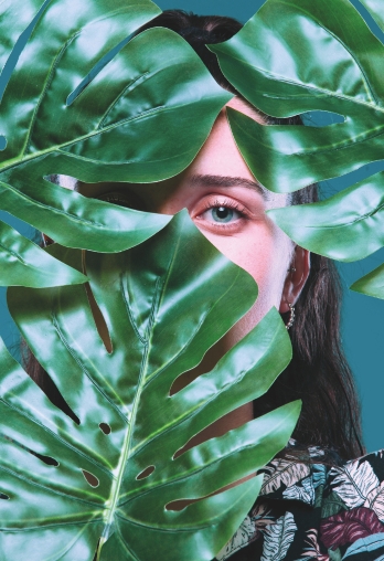 Image de la newsletter